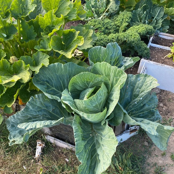 Share Show! Usually No Theme, Just Be Nice. Unlisted Items Too! @katyw12 - Picture 8 of 15